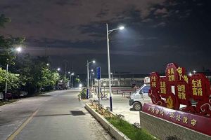 sports集团罗宁弟爱心捐赠路灯，点亮乡村路温暖乡民心