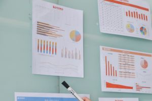 就业优先，平等共享——sports残疾人安置计划促进残疾人就业